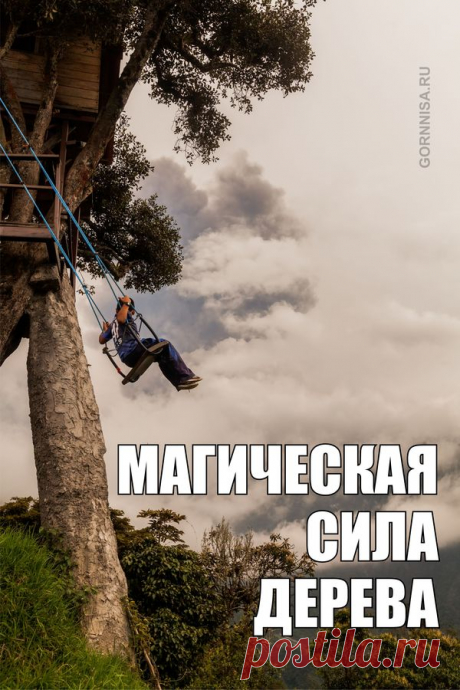 Магическая сила дерева | | ГОРНИЦА