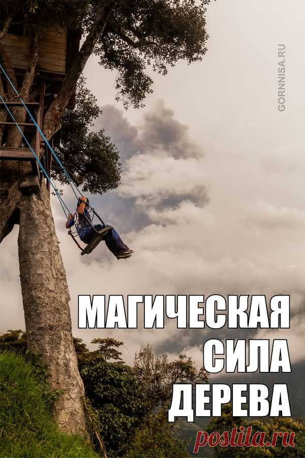 Магическая сила дерева | | ГОРНИЦА