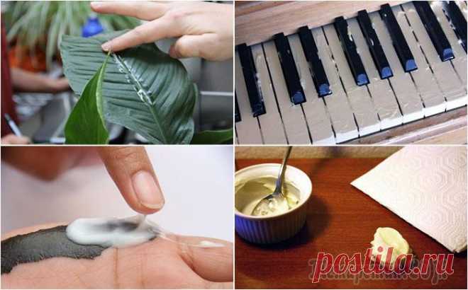 Майонез спешит на помощь: 10 неожиданных способов использования салатного соуса