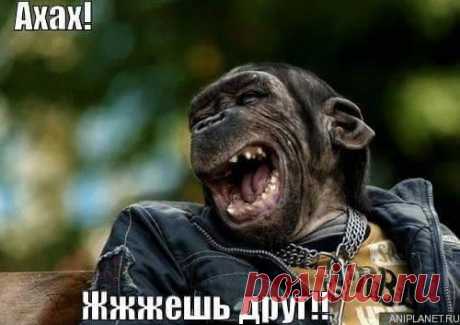 (7) Facebook