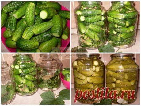 Маринованные огурцы на зиму: лучшие рецепты с фото  
Каждая хозяйки заготавливает маринованные огурцы на зиму, но иногда результат консервирования может разочаровать, ведь огурчики получаются чересчур мягкими, и совсем не хрустят. Чаще всего это проис…