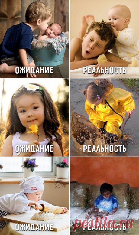 Ожидание vs. реальность: воспитание детей