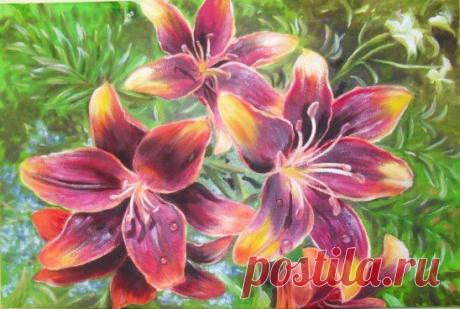 Лилии,  масло, 40*60
