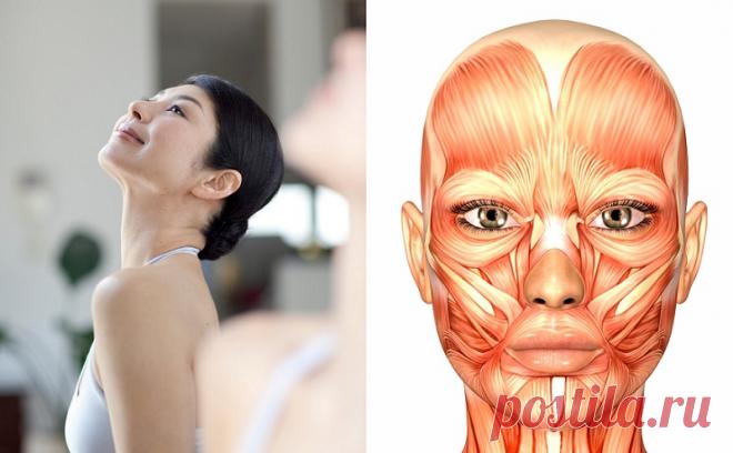 Мамада Йошико: Вот как подтянуть лицо всего за 10 секунд в день! Это отличная профилактика морщин и второго подбородка Безоперационная подтяжка лица от Мамады Йошико — настоящая находка для барышень всех возрастов и достатка!