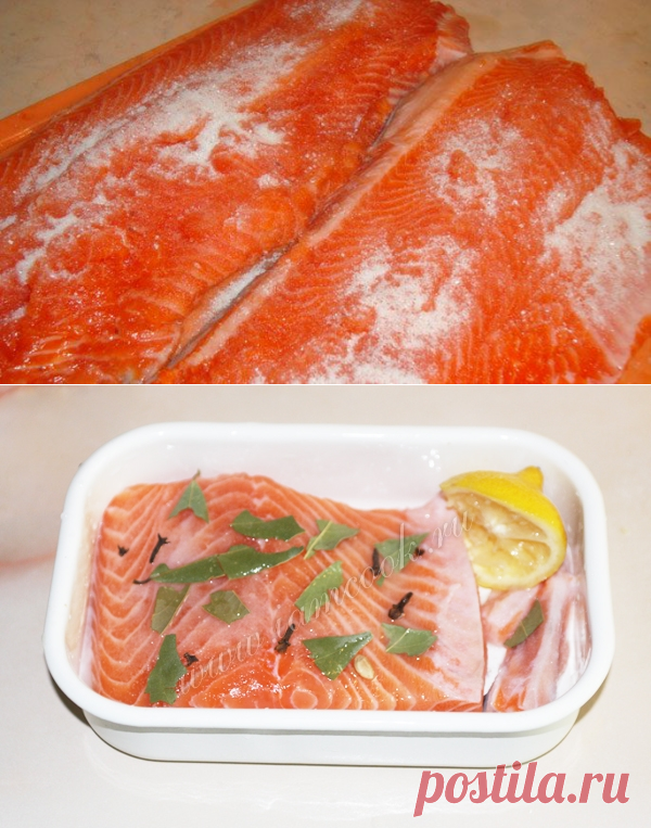 Как посолить форель дома с солью и сахаром, лучшие рецепты