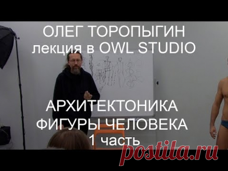 Архитектоника фигуры человека. 1 часть