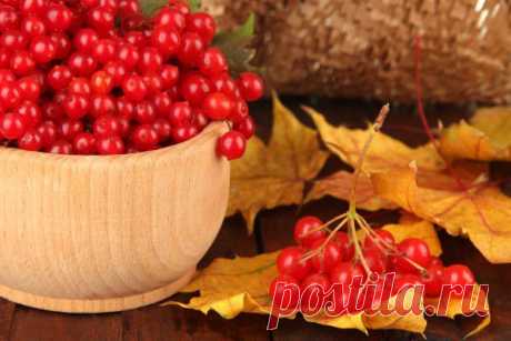 Вкусные рецепты