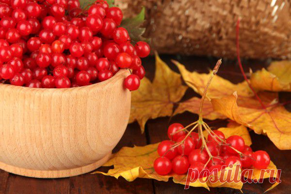 Вкусные рецепты