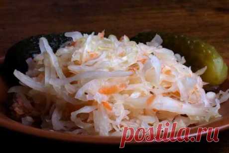 Кулинарные рецепты: солим капусту на зиму — Gotowim-Live