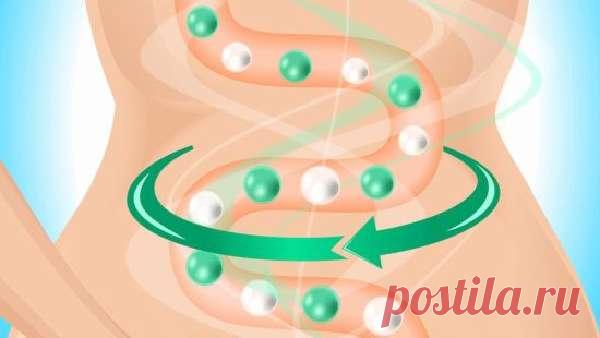 Очищение кишечника касторовым маслом: методы чистки касторкой, отзывы - MedBoli.ru От состояния кишечника зависит общее самочувствие человека. Очень часто различные патологии внутренних органов и косметологические проблемы появляются из-за его зашлакованности. Поэтому рекомендуется регулярно проводить очищение кишечника. Такая процедура способствует улучшению пищеварения, исчезновению тяжести и даже снижению веса. Для этого можно использовать лекарственные препараты или на...