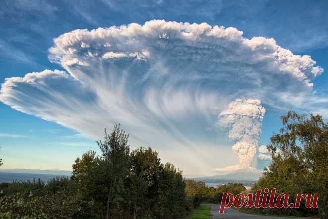 Кальбуко