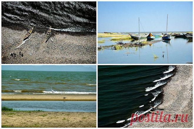 Озеро Туркана – самое большое озеро в пустыне Стоя на берегу озера Туркана (также известного как озеро Рудольф), можно подумать, что вы находитесь на берегу моря – волны накатывают на песчаный пляж, дует сильный ветер, а рыбацкие лодки, пришвартованные неподалеку, готовы отчалить. Однако это не море, а самое большое в мире постоянное озеро в пустыне, а также самое большое щелочное озеро, площадью более 6 тысяч квадратных километров. Местное население называет озеро «Нефрит...