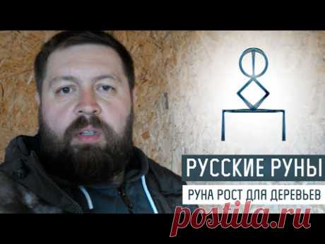 Русские Руны для дома: Руна Роста для деревьев - YouTube