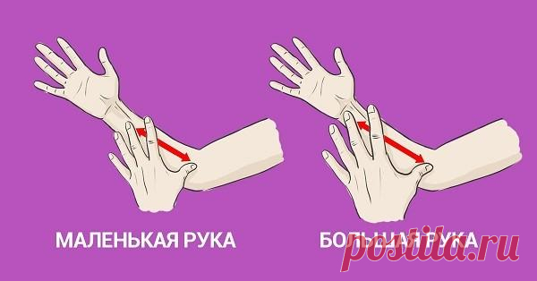 Просто измерь руку — и ты узнаешь всю правду о себе! Психологический портрет можно составить по многим критериям, будь то имя, знак зодиака или даже вид деятельности. Наверное, каждый пробовал узнавать что-то новенькое о себе и своих знакомых подобными …