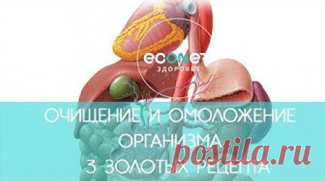 ОМОЛОЖЕНИЕ организма: 3 ЗОЛОТЫХ рецепта