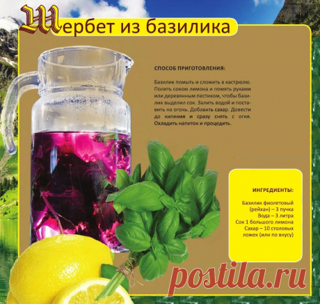 Щербет из базилика