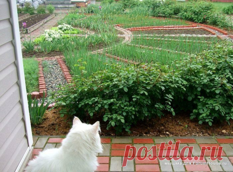 История одной дачи: красота, да и только! — 6 соток