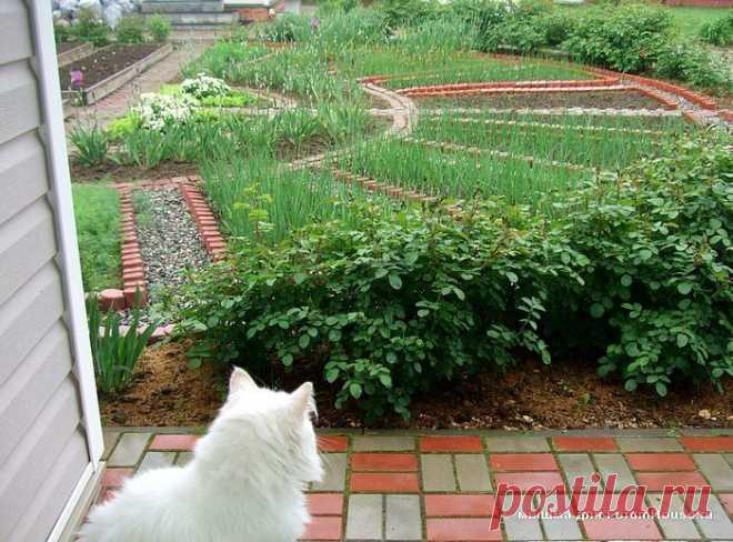 История одной дачи: красота, да и только! — 6 соток