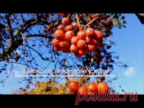 Под окном нарядилась рябина... - YouTube