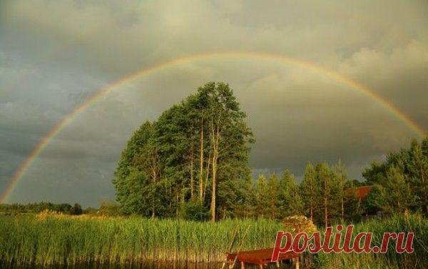 Без заголовка - Фотография как искусство. - Группы Мой Мир