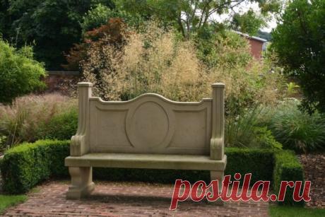 Ковыль гигантский (Stipa gigantea).