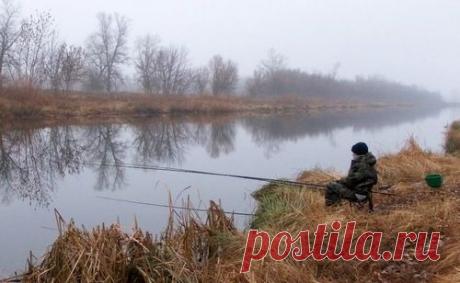 Ловля поздней осенью с поплавком