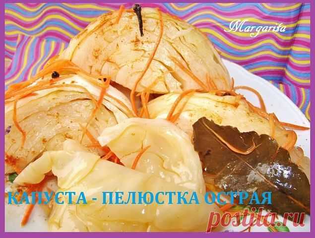 Капуста- пелюстка острая