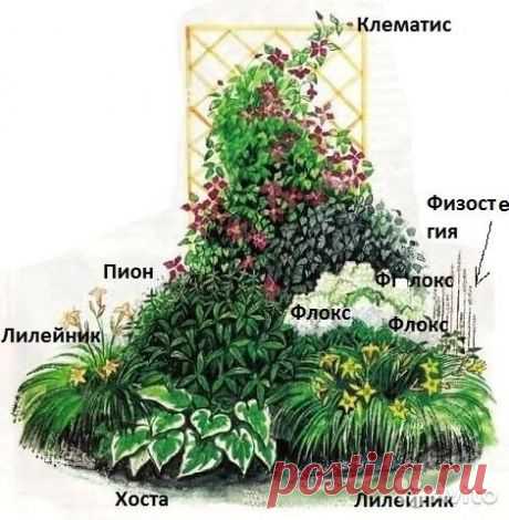 Компактный цветник, стремящийся ввысь