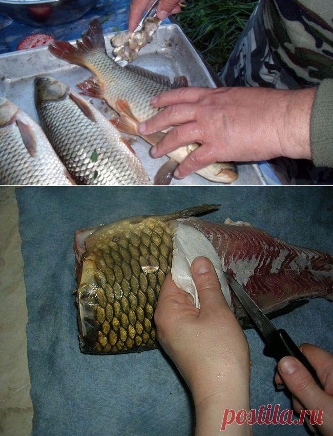 Парочка советов, которые облегчат разделку рыбы