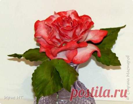 роза из фоамирана.