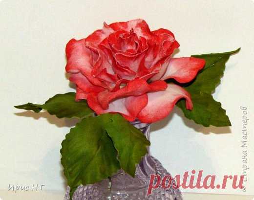 роза из фоамирана.
