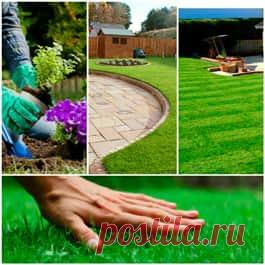 TOTEX - Озеленяване, Тревни смески, Тревен чим, Торове