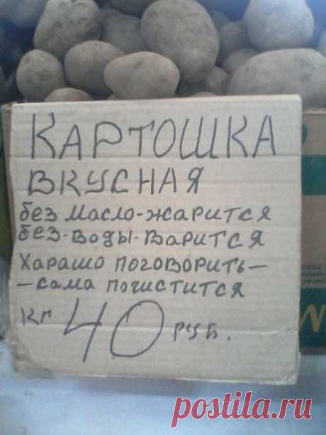 20 улетных объявлений с рынка