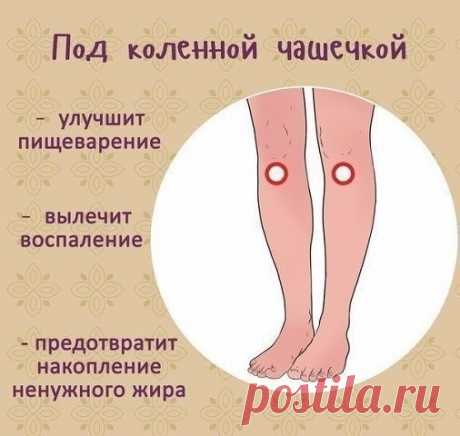 Дзен