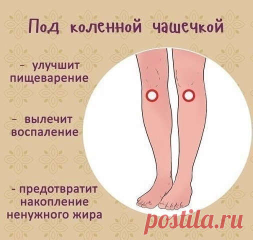 Дзен