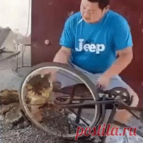 На заметку. Как чистить подсолнух