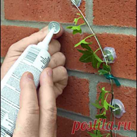 41 Cheap And Easy Backyard DIYs You Must Do This Summer