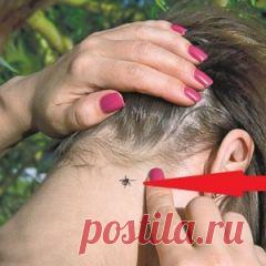 (131) Pinterest • Всемирный каталог идей и другие популярные материалы на Постиле - Почта Mail.Ru