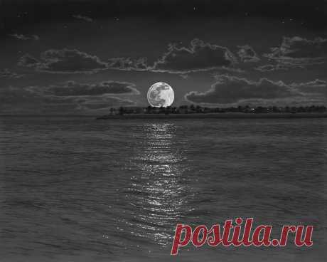 The_Art_of_Phillip_Anthony