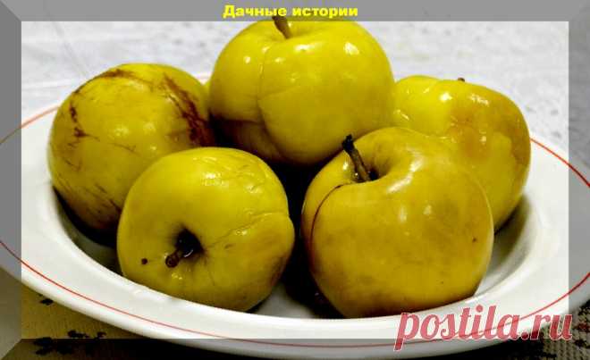 Моченые яблоки по-новому: без бочки и соломы! Секрет вкусных и полезных моченых яблок, груш, слив и вишен | Дачные истории | Яндекс Дзен
