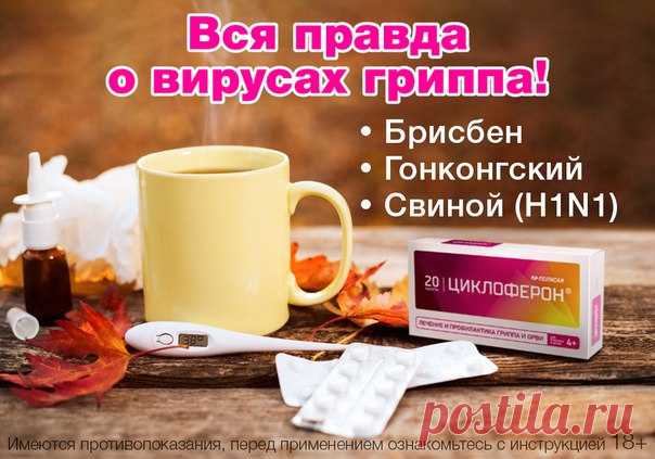 По прогнозам ВОЗ, в сезон 2017—2018 гг. на территории России могут циркулировать 3 штамма гриппа: вирус группы В (Брисбен), вирус группы А — Н3N2 (гонконгский) и подтип А/Н1N1 (Мичиган или свиной).
Чем опасны эти штаммы?
Вирус B/Брисбен (В/Brisbane) на сегодняшний момент малоизучен, сложно диагностируется вследствие неясных симптомов. Считается, что грипп B менее опасен, чем штаммы, относящиеся к группе А, легче переносится как взрослыми, так и детьми, и не характеризуется...