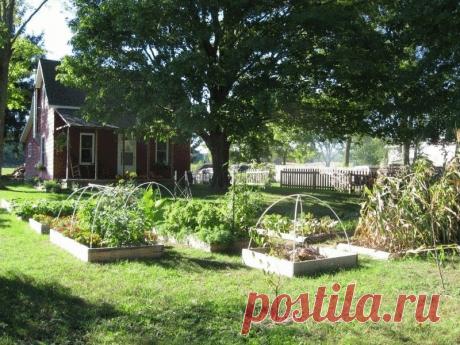 Как определить кислотность почвы на участке ​Кислотность почвы участка Вы решили заняться возделыванием нового участка, или решили высадить новые растения на уже обихоженном? Тогда стоит определить какая же на вашем участке почва и подходит ли она […]