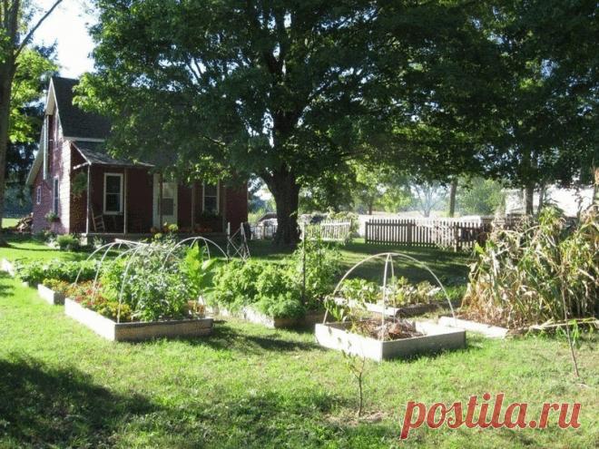 Как определить кислотность почвы на участке ​Кислотность почвы участка Вы решили заняться возделыванием нового участка, или решили высадить новые растения на уже обихоженном? Тогда стоит определить какая же на вашем участке почва и подходит ли она […]