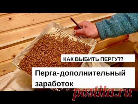КАК ВЫБИТЬ ПЕРГУ?? ПЕРГА КАК ДОПОЛНИТЕЛЬНЫЙ ДОХОД.