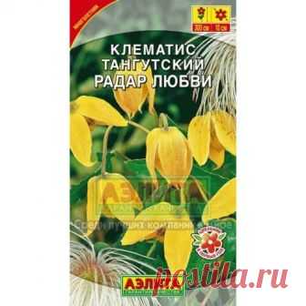 Семена. Клематис тангутский 