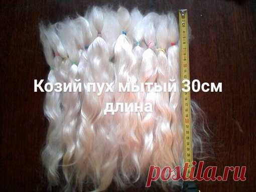 Доброго времени суток! меня часто спрашивают, где купить локоны овечьей шерсти для кукольных причесок. Я сама как-то купила целую шкуру и теперь сама крашу в любой цвет.
Мои ученицы посоветовали магазинчик Елены Пух. 
Елена предлагает кукольницам приобрести товары для волос куклам из козьего пуха, в наличии козий пух Руно нечесаный, нестиранный серого, серебристого, белого, коричневого цветов; пряди для кукольных волос стираные и расчесанные некрашеные длина 18,20,22,25,27...