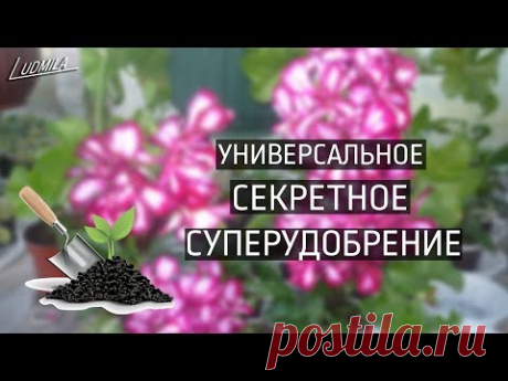 МОЁ СЕКРЕТНОЕ СУПЕРУДОБРЕНИЕ