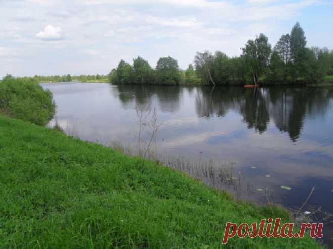 #955. Болдиново. Участок 29 соток на 1-й линии Нерли.