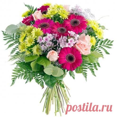 tulipanes de colores - Buscar con Google