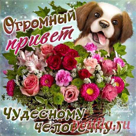 Открытки с Приветом красивые  Открытки Привет просто так